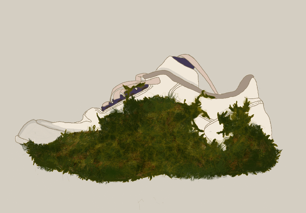 Illustration : Ada Hop - forme de vie végétale habitant une chaussure abandonnée dans la nature - d’après une photographie de Diana Lelonek.